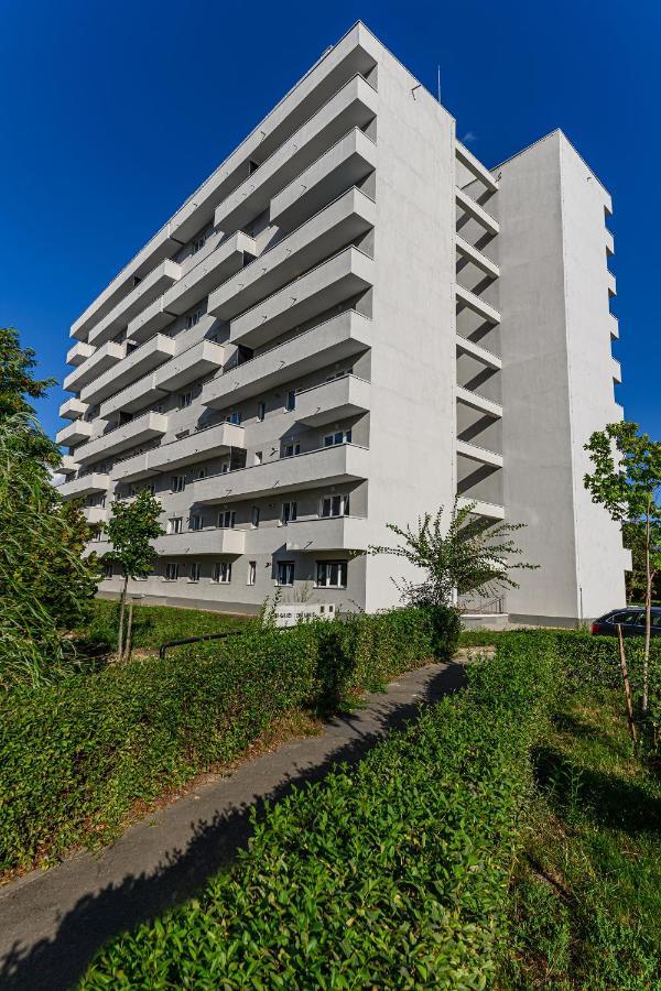 KOA - Flamingo Apartment Braszów Zewnętrze zdjęcie