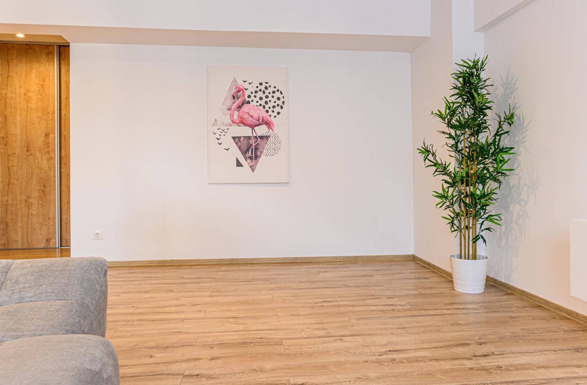 KOA - Flamingo Apartment Braszów Pokój zdjęcie